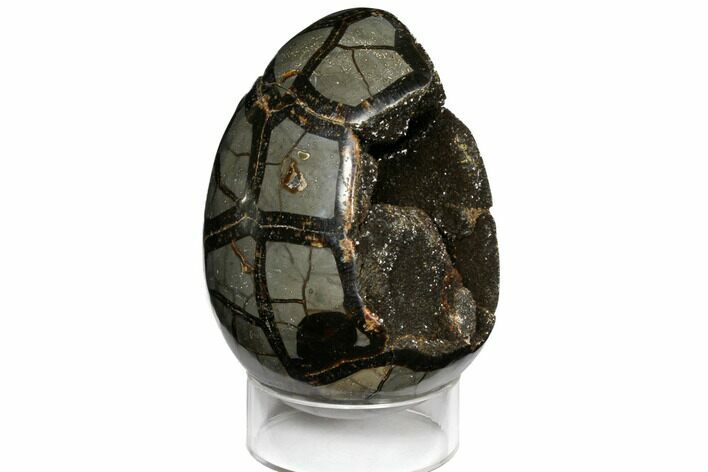 Septarian Dragon Egg Geode - Black Crystals #123069